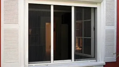 sineklik 1 736x414 1