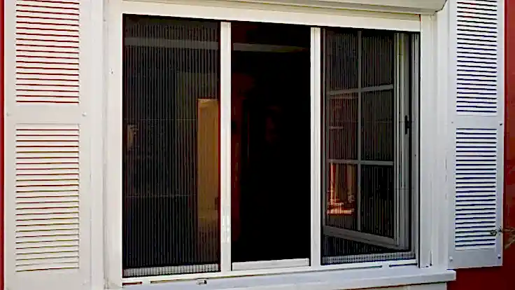 sineklik 1 736x414 1